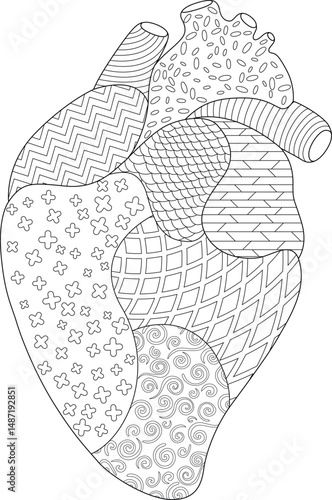 Stylized Anatomical Heart Line Art, Detailed black and white outline drawing of a human heart filled with intricate geometric and organic patterns. This stylized anatomical illustration is perfect 