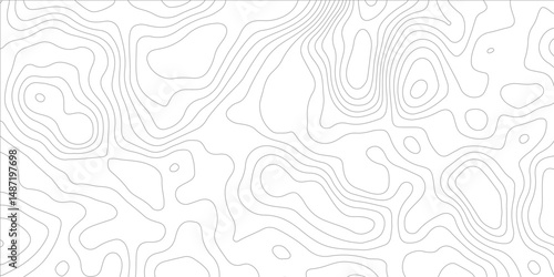 modern topographic  abstract white surface with  gray wave lines forming organic shapes, creating a minimalist and modern textured whit background design.