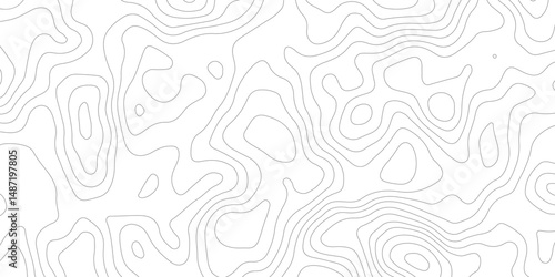 modern topographic  abstract white surface with gray wave lines forming organic shapes, creating a minimalist and modern textured whit background design.