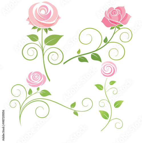 Elegant pink roses floral design elements swirls