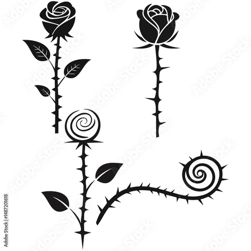 Elegant black rose stems with thorns and buds