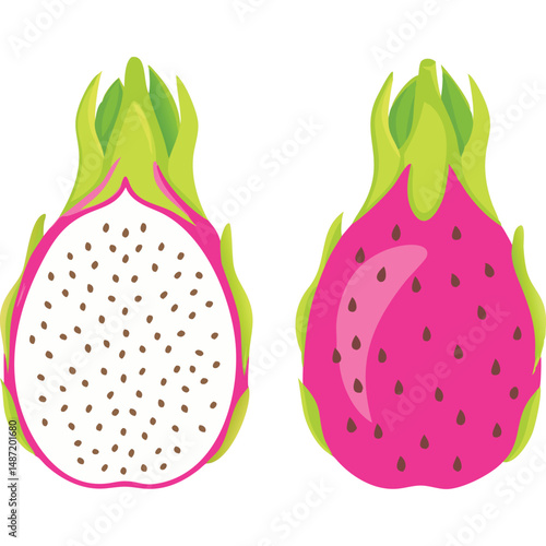 Two Dragon Fruits Whole and Halved Illustration