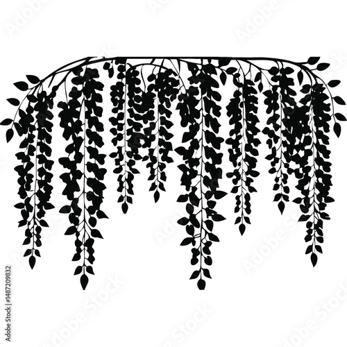 Elegant Wisteria Branch Silhouette Vector Design Element Decoration