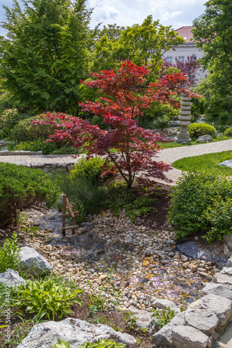Photography A traditional bamboo water spout and red maple tree decorate a tranquil area of a Japanese-style garden with pebbles and flowing stream in Vienna, Austria