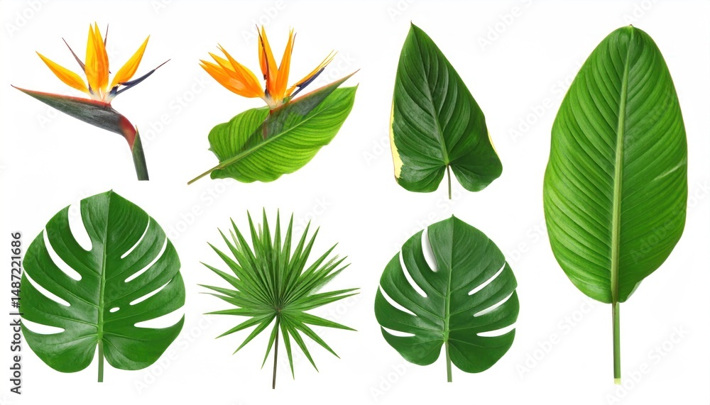 Obraz premium Exotic foliage assortment featuring tropical leaves and bird of paradise flowers isolated