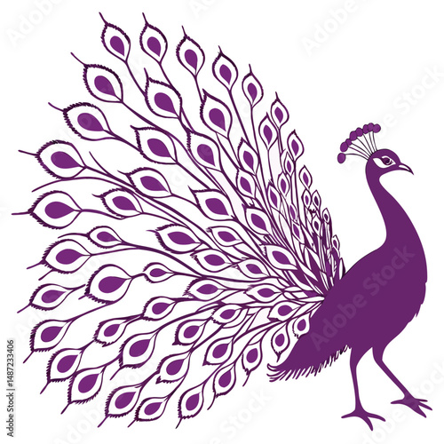 Bold Purple Silhouette of Peacock Feathers  