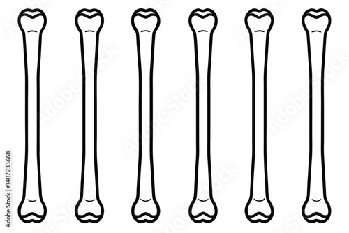 Femur Shape And Length Line art