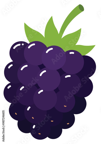 Blackberry whole fruit isolated on a white background. Cartoon icon for package design. Vector illustration of tropical fruits in flat style