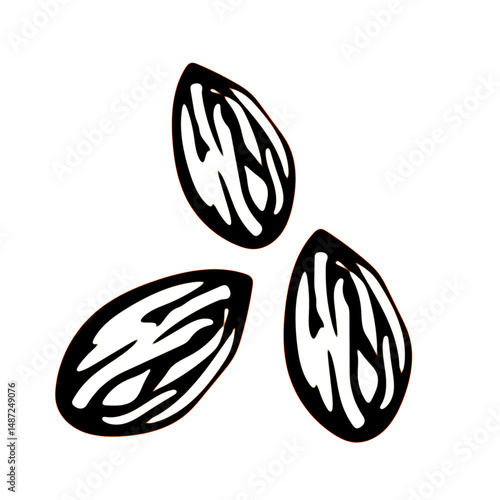 vector illustraion of almonds cartoon  almond snack healthy snack meal.eps
