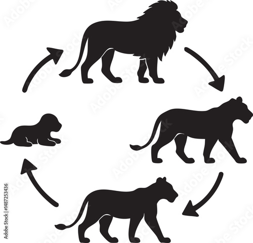 Lion Life Cycle Silhouette.