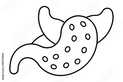 Gallbladder Function Diagram Line art