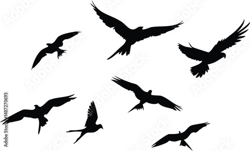 Silhouetted birds gracefully soar against a stark white background in scattered flight formations
