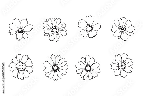 Lisia thus Flower line art