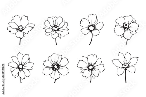 Lisia thus Flower line art