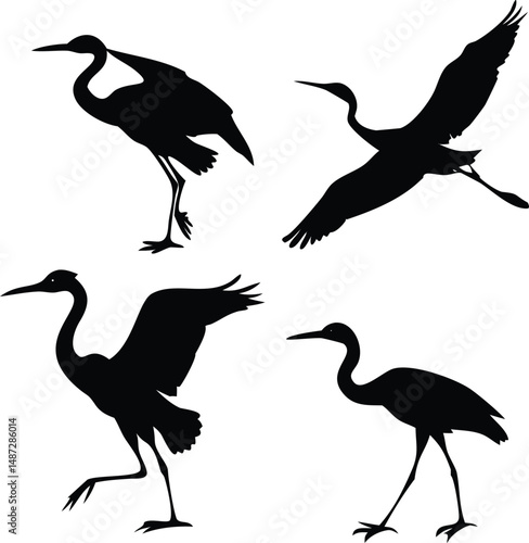Four elegant crane birds show varied poses in black silhouette against a white background