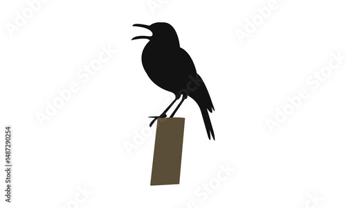 Agulhas long billed lark bird Silhouette Design  And Vector Illustration. 
