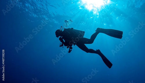 Wallpaper Mural Silhouette of a Scuba Diver Exploring the Deep Ocean Torontodigital.ca