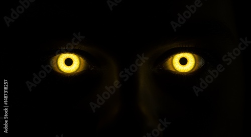 Glowing Yellow Eyes in the Dark