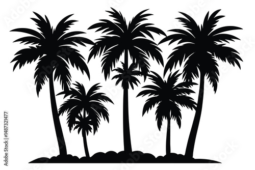 Several black silhouette palm trees stand clustered together on a dark ground area