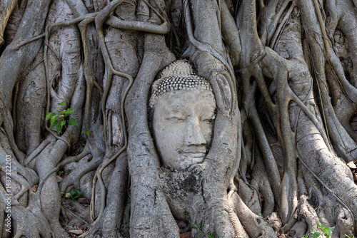 Ancient Buddha head entwined in tree roots at Wat Mahathat temple, Ayutthaya Historical Park, Thailand. A famous and iconic spiritual landmark representing Thai culture and Buddhist heritage.
