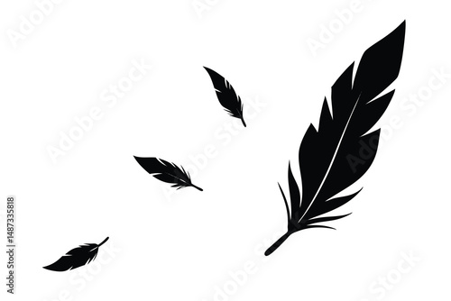 Black feathers of different sizes are drifting on a plain white background