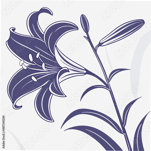 deep purple lily with smooth slender petals for flower vector  