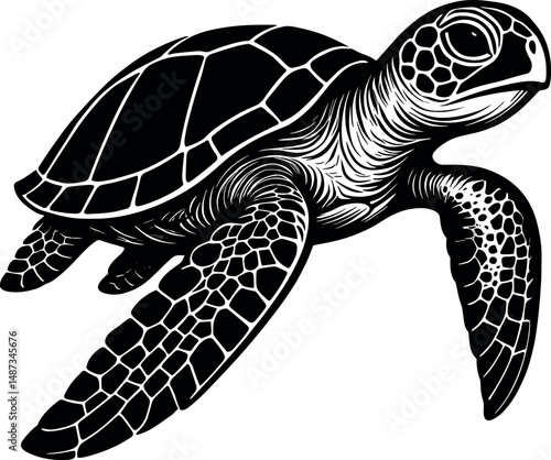 Turtle vector silhouette design