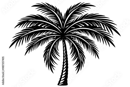Black silhouette of a palm tree side view tropical design, palm tree, tree, tropical, nature, side view, silhouette, black, vector, design, graphic, illustration, isolated, summer, beach, travel, vaca