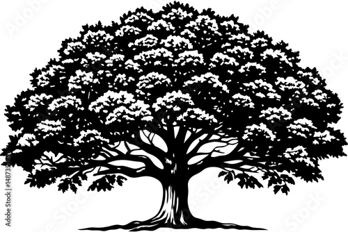 Black silhouette of a mature oak tree in side profile, oak tree, tree silhouette, side profile, mature tree, vector tree, nature, landscape, forest, black and white, monochrome, design element, graphi