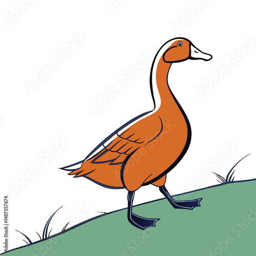  cartoon duck standing on a field