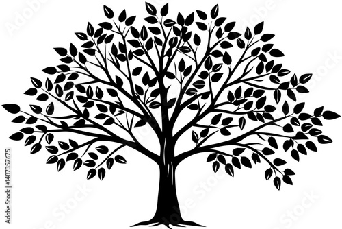 Side profile silhouette of young sapling plant with transparent background, sapling, young, plant, tree, growth, side profile, silhouette, outline, vector, graphic, illustration, design, nature, envir