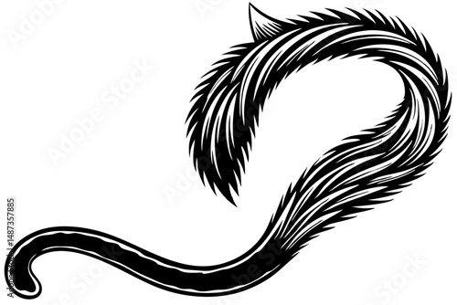 Abstract white tail or swirl design element on transparent background, abstract, tail, swirl, animal, white, black, graphic, design, illustration, vector, artistic, element, modern, minimalist, clean