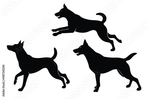 Three canine silhouettes show a dog jumping, another standing, and the last walking