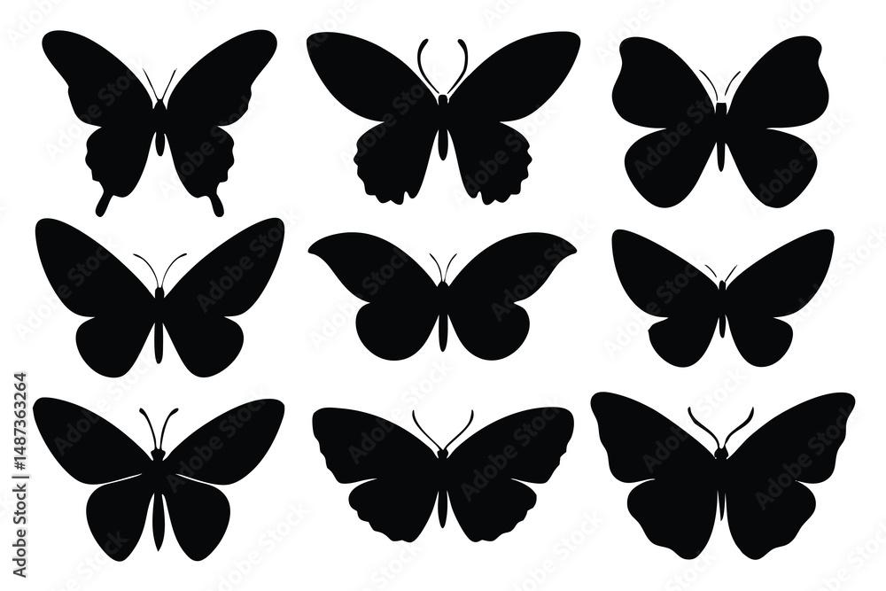 Various butterfly silhouettes show wing shapes in a neat arrangement on a white background Various butterfly silhouettes show wing shapes in a neat arrangement on a white background