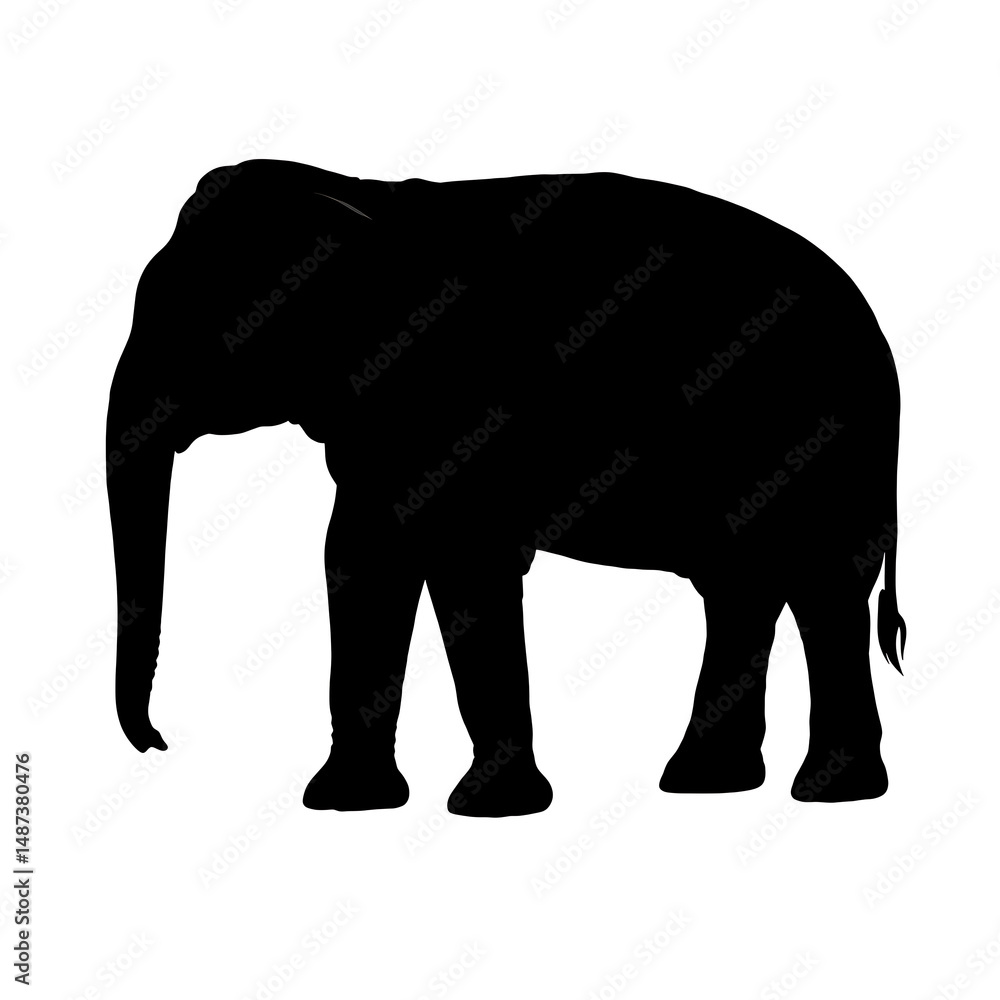 Fototapeta premium A powerful and clear black silhouette of an elephant standing, embodying strength and the wild. Excellent for wildlife, conservation, or nature-themed designs.