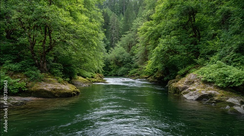 A serene river winds gently through a lush green forest, its clear waters reflecting the vibrant canopy above.
