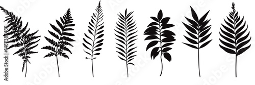 Black and white vector illustration of diverse fern and tropical plant leaves silhouette collection with minimalist flat design style isolated on white background