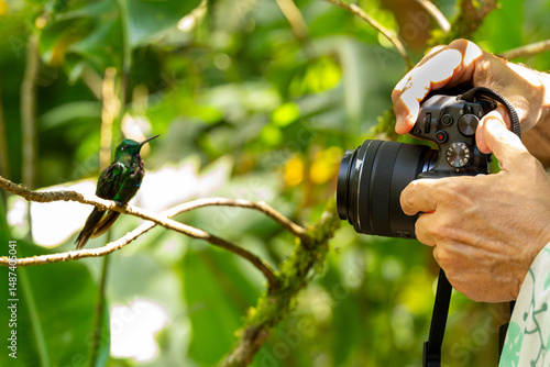 Photographer photographing beautiful hummingbird perched on a branch in Monteverde rainforest, Costa Rica