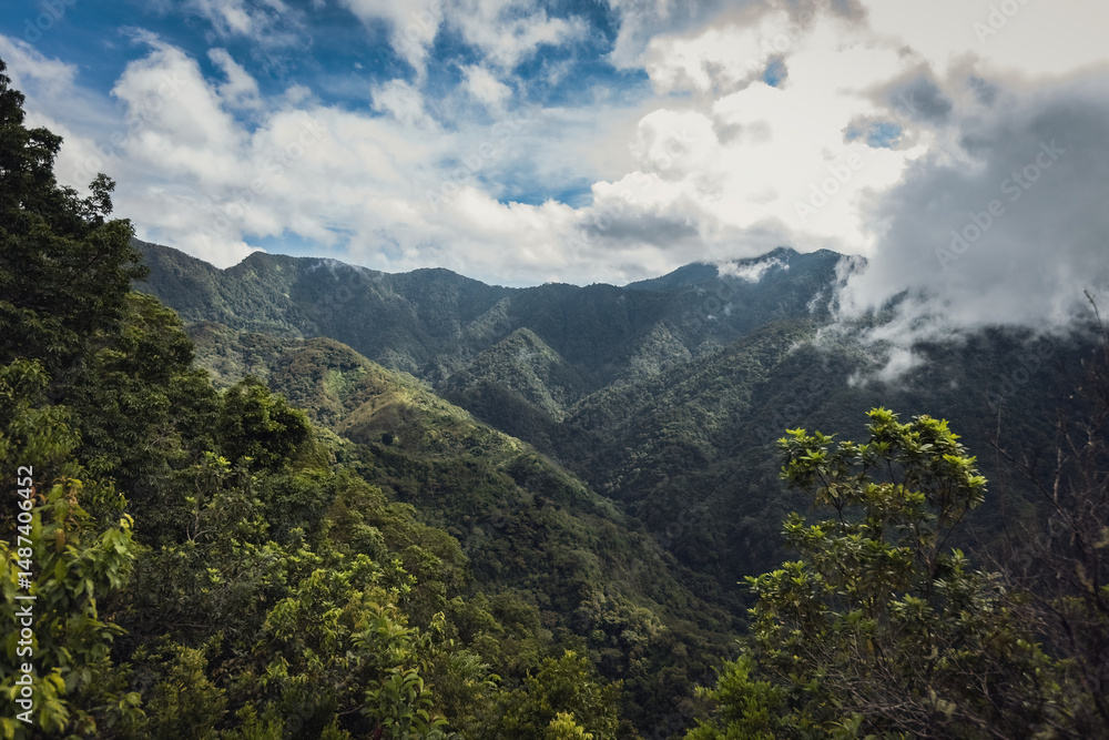 View of the jungle in Flores island Indonesia View of the jungle in Flores island Indonesia