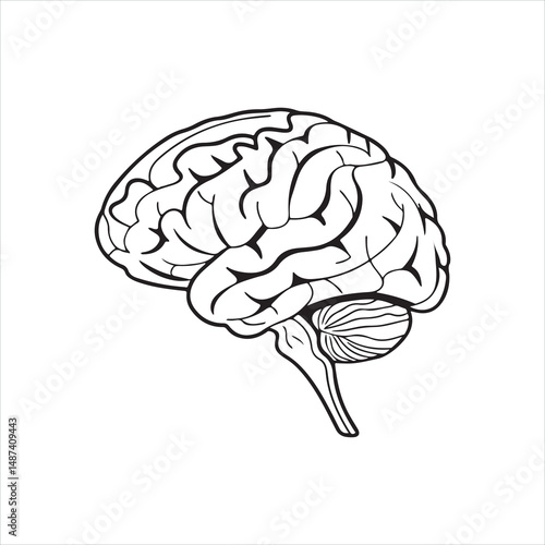 Simple Brain Icon Illustration