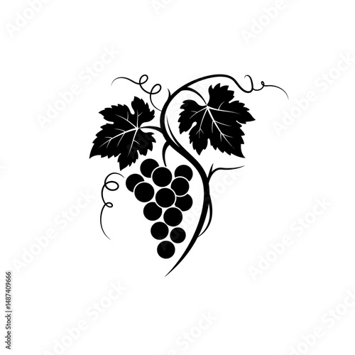 Grapevine Silhouette