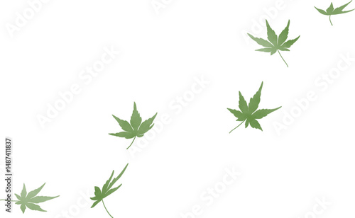 舞う紅葉　水彩　緑