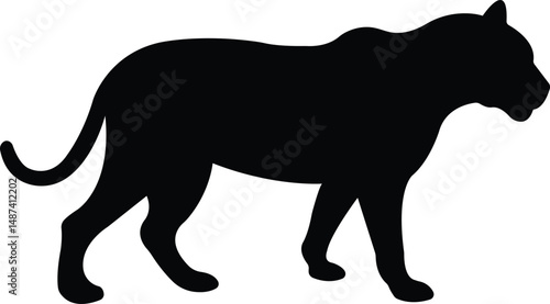 The Silhouette: A stunning graphic of a black silhouette of a panther, capturing the essence of its power and stealth. Ideal for minimalist designs and adding a touch of wild elegance.