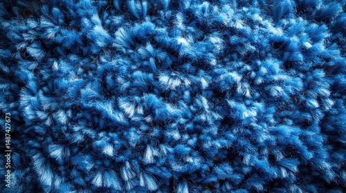 Wallpaper Mural Close-up view of textured blue carpet.  Dense, plush fibers create a rich visual Torontodigital.ca
