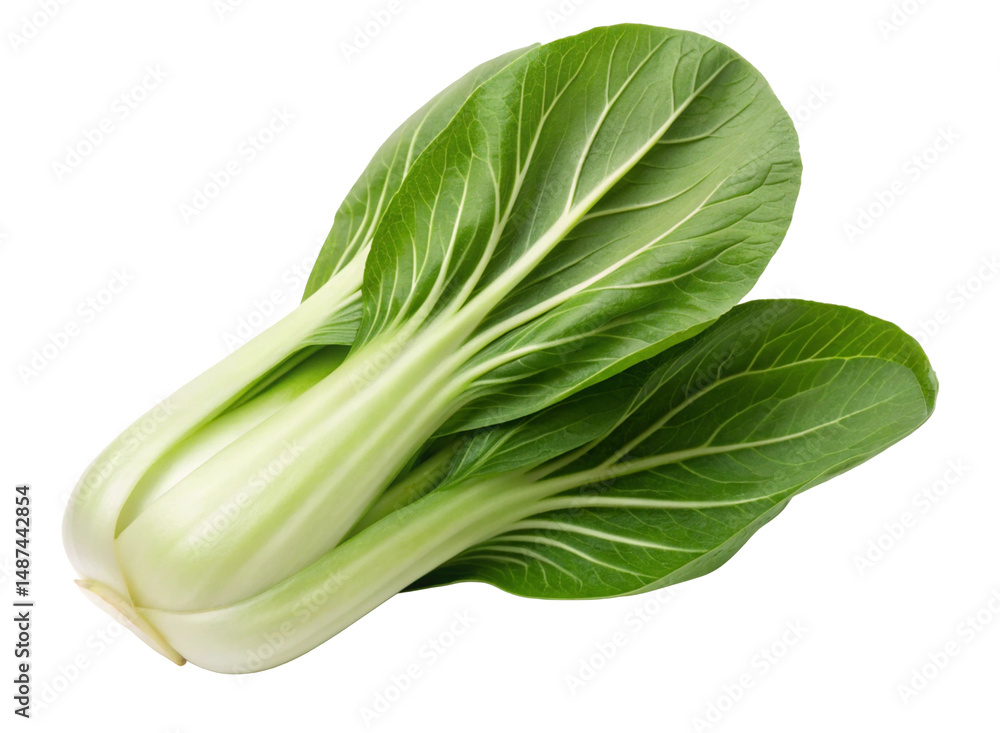 Crisp Green Bok Choy with Leaves on Transparent Background. Crisp Green Bok Choy with Leaves on Transparent Background.