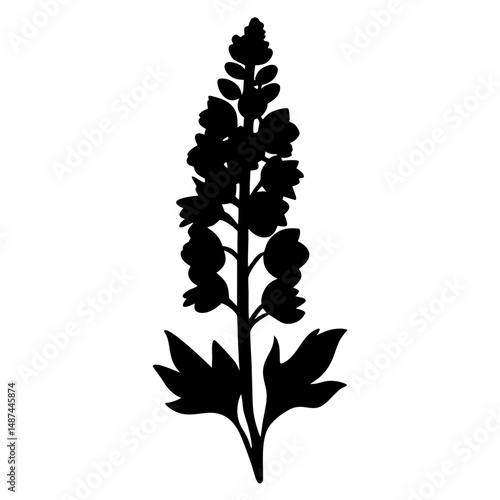 Silhouette of a Delphinium flower, a botanical illustration in black and white