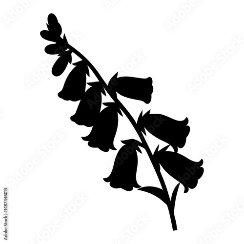 Silhouette of foxglove plant showing bell shaped flowers on a stem