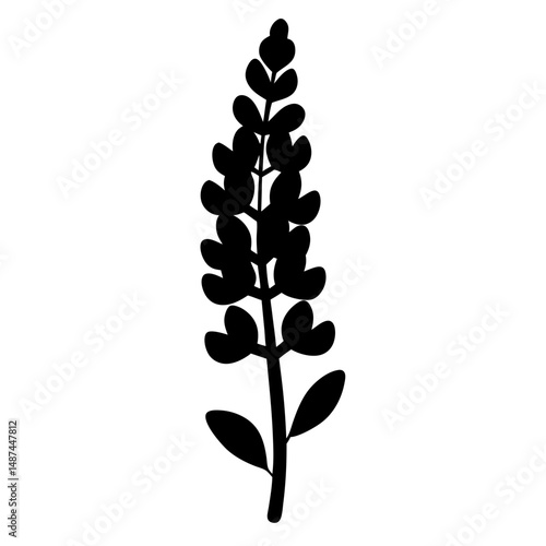 Black silhouette of a plant with rounded leaves and a tall stalk