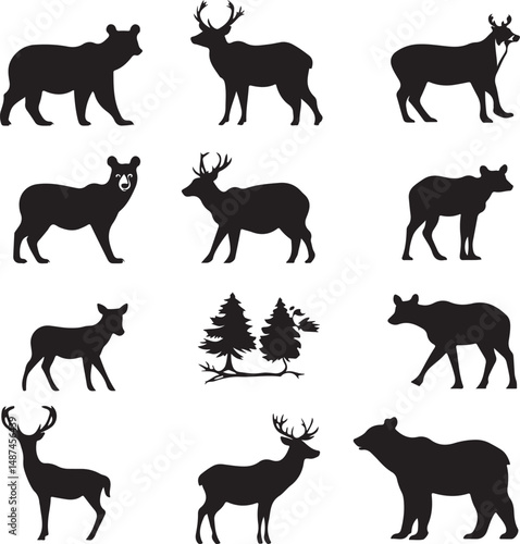 Photography wild animals silhouettes