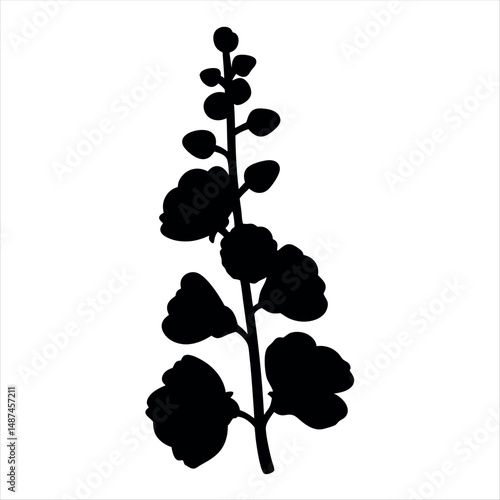 Striking silhouette of a blossoming flower stalk against a white backdrop